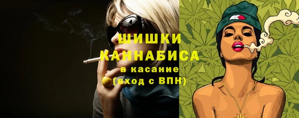 гидра Касимов