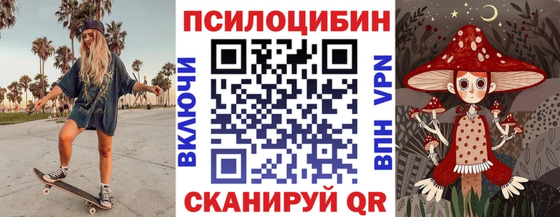 где продают   Белоусово  Галлюциногенные грибы Psilocybine cubensis 